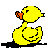Duck logo here