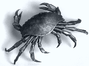 [Crab image]